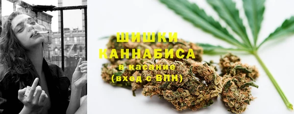мдма Новозыбков