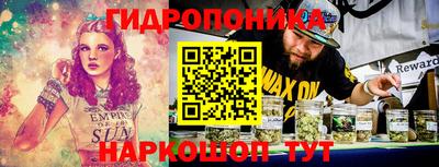 шишки Бийск