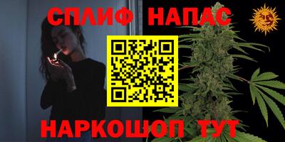 шишки Бийск