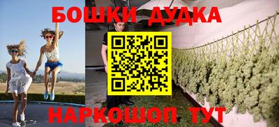 шишки Бийск