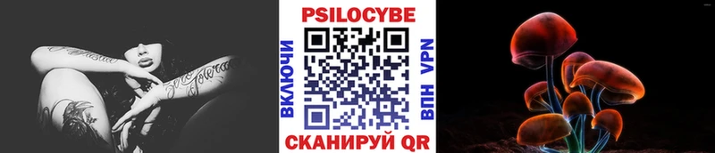 Псилоцибиновые грибы мицелий Когалым
