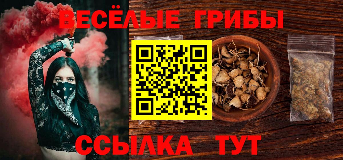 Псилоцибиновые грибы прущие грибы  Когалым  Псилоцибиновые грибы MAGIC MUSHROOMS 