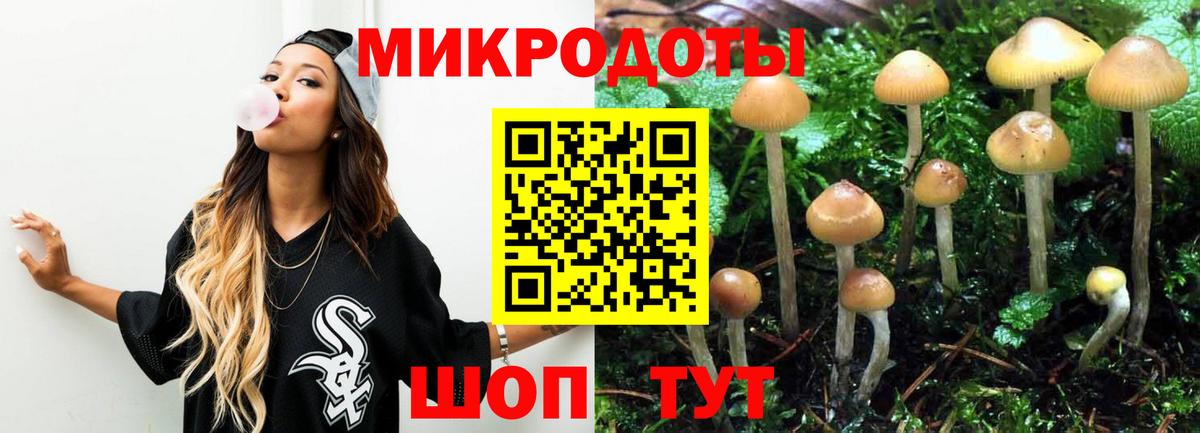 Галлюциногенные грибы мицелий Когалым